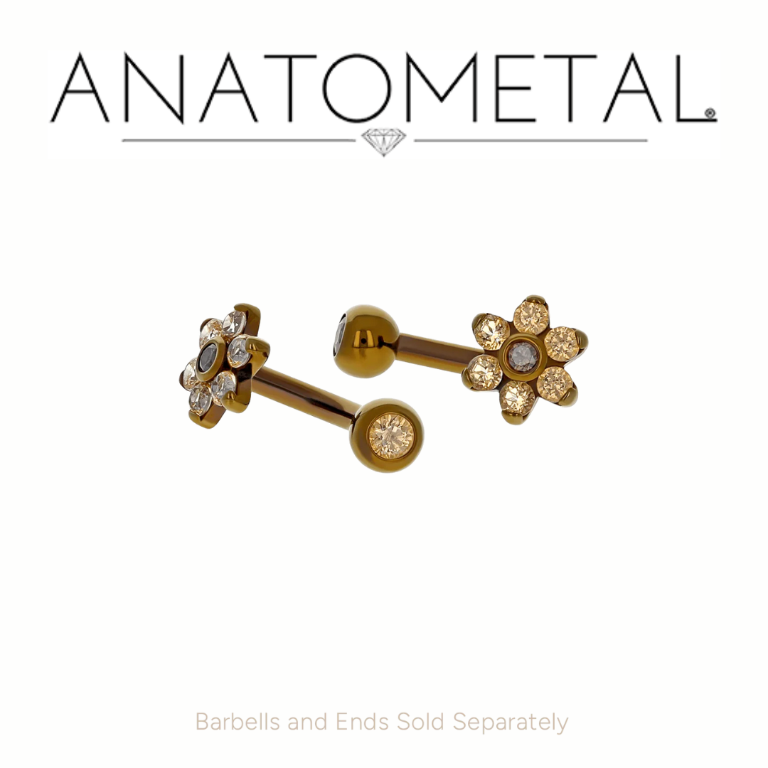 Anatometal Titanium Threaded J Curve Shafts