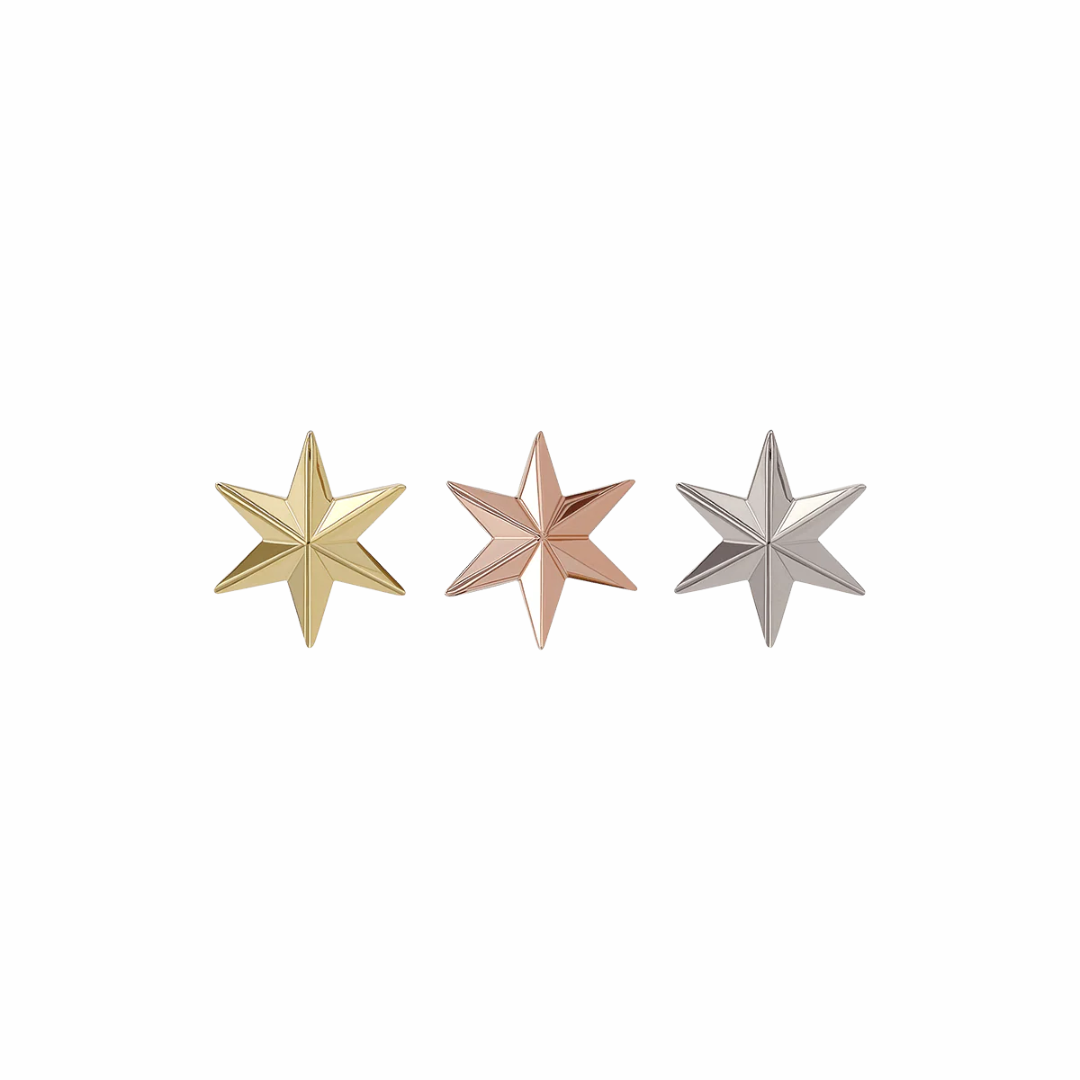 Anatometal 18k Solid Gold Nstar Ends