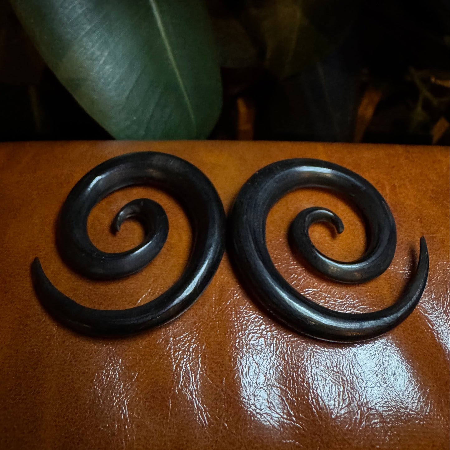 Tawapa Ebony 11mm Spirals (Pair)