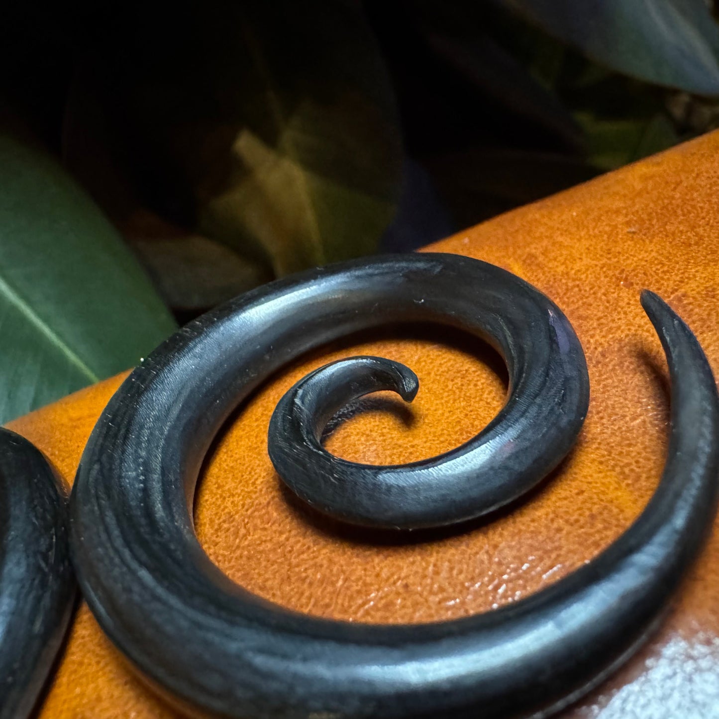 Tawapa Ebony 11mm Spirals (Pair)