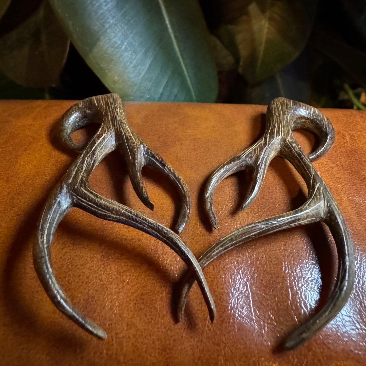 Tawapa Ebony 8mm Antlers (Pair)