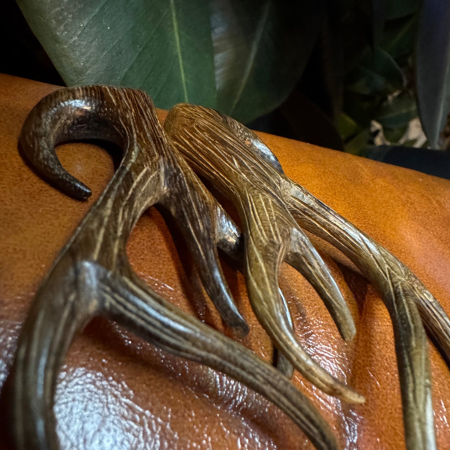 Tawapa Ebony 8mm Antlers (Pair)