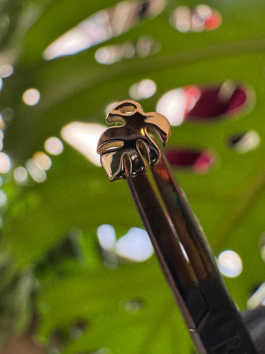 Industrial Strength 18k Solid Yellow Gold Monstera Ends