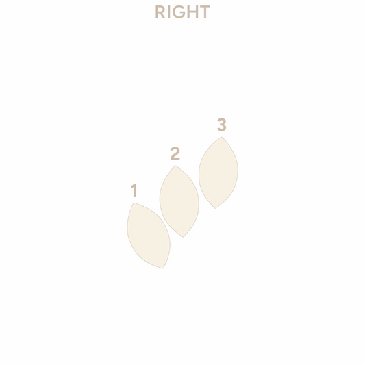 Anatometal 18k Solid Gold Fanfare 3 Ends (Right)