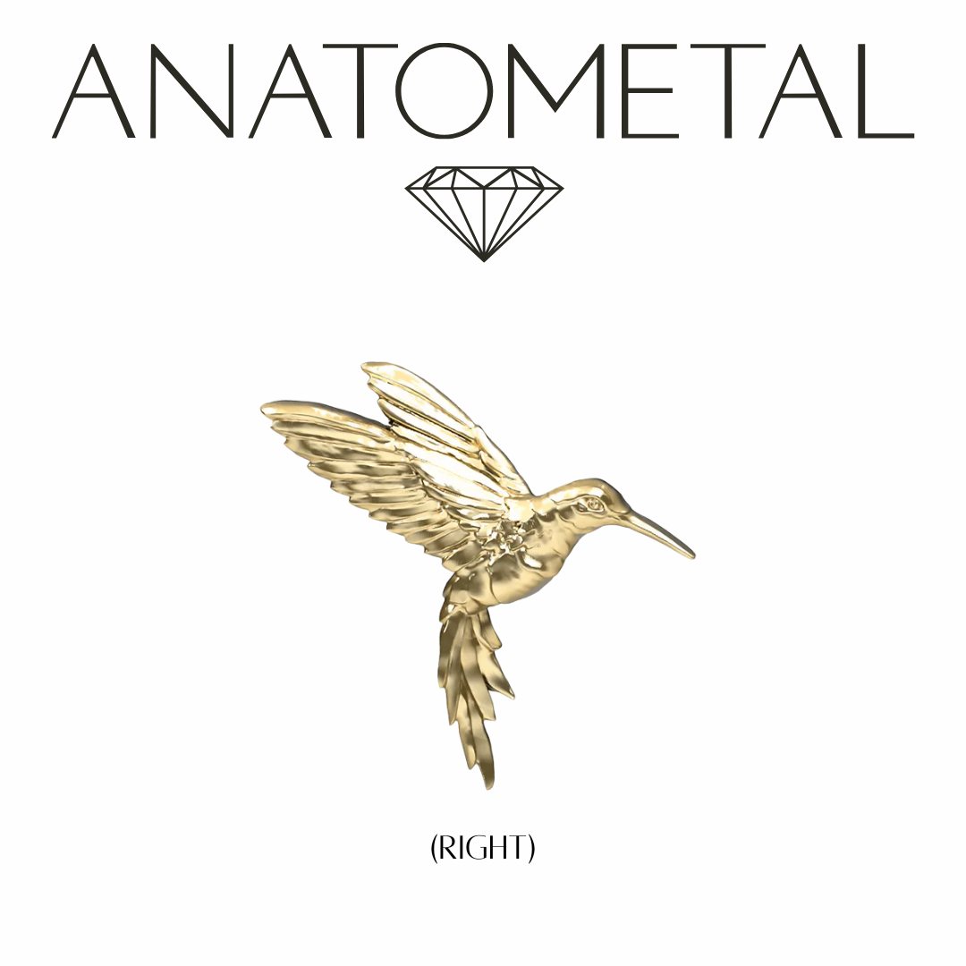 Anatometal 18k Solid Gold Hummingbird 1 Ends