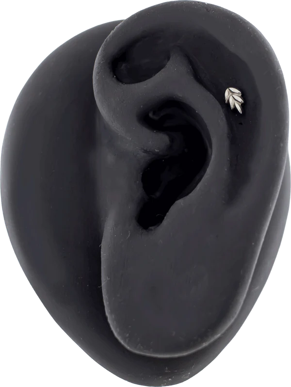 Khrysos Titanium Threadless Fern End
