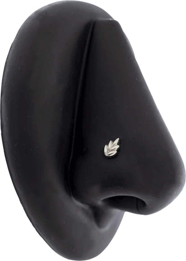 Khrysos Titanium Threadless Fern End
